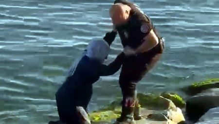 Avcılar’da kayalıklardan denize düşen bayanı yunus polisleri kurtardı