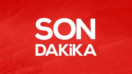 Beyaz et kesimine dev operasyon! 13 şirkete kontrol kayyumu atandı