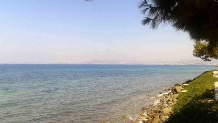 Kuşadası’nda deniz suyu kalitesi yüz güldürdü