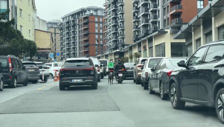 Seyrantepe’de motosiklete bağladığı köpeği metrelerce koşturdu: 8 bin 678 lira ceza kesildi